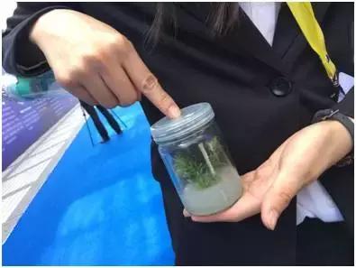 以梦为马开启新征程,以梦为马扬帆起航全文