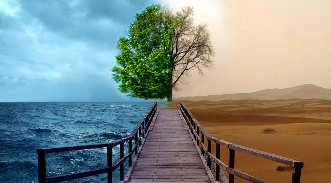 后发地区,通过什么途径赢得招商引资?