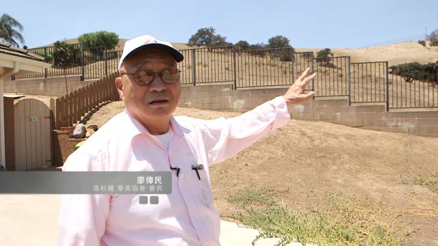 孕妈访谈科普类视频,孕妇妈妈的采访视频