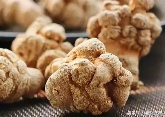 大家都在传,三七对脂肪肝的防治作用特别好?