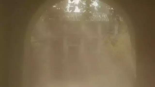 我的不靠谱家人，以及蛇、老鼠、蜥蜴、猫头鹰等其他动物