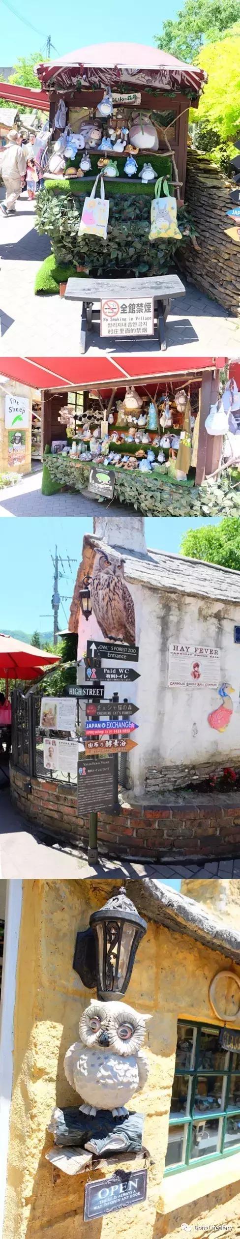 去日本北九州好吗,北九州看樱花