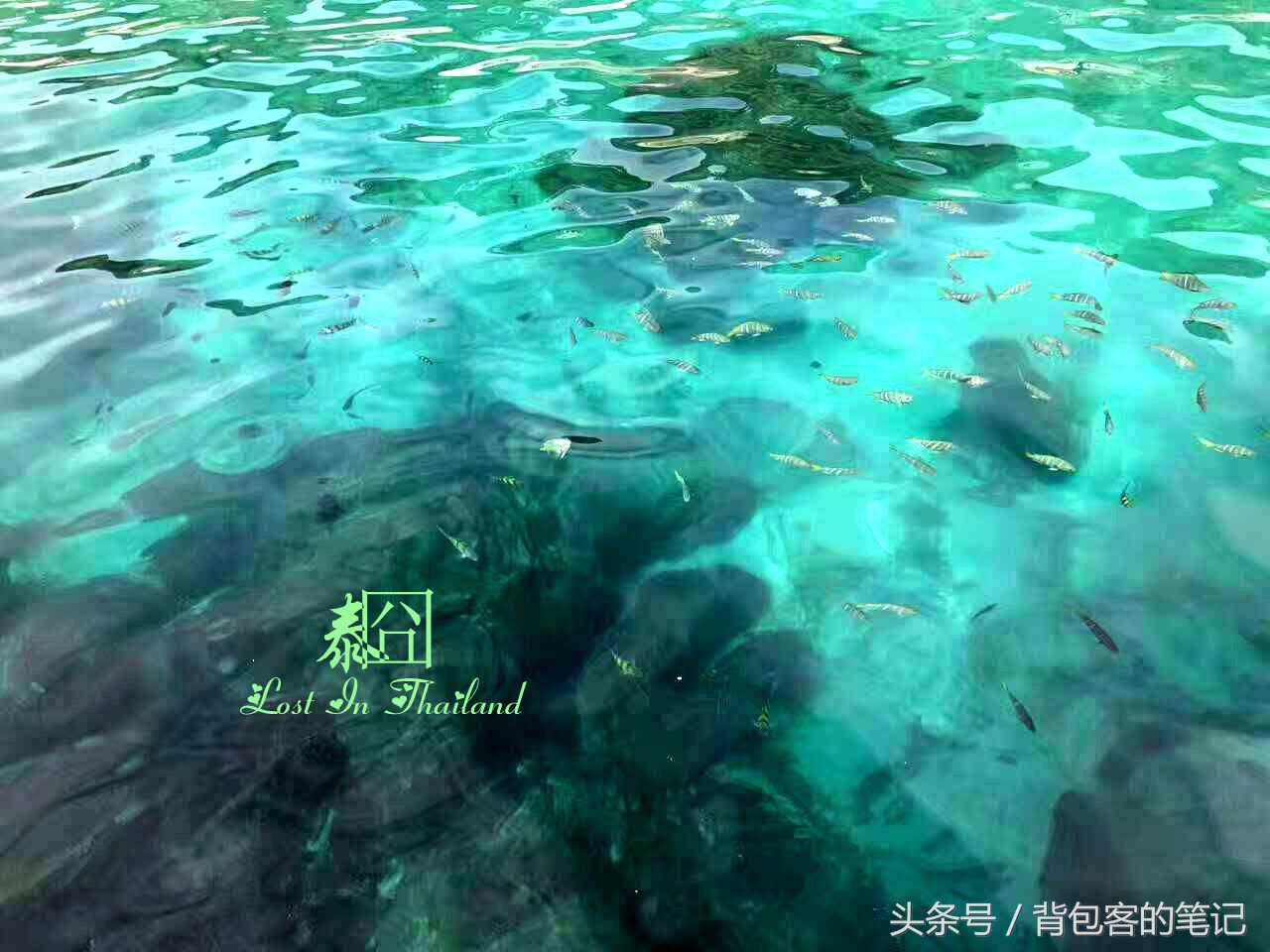 泰国囧游,囧囧泰国