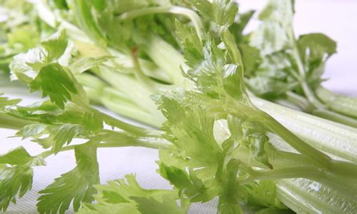 品酒会必备指南,品酒大会美食篇