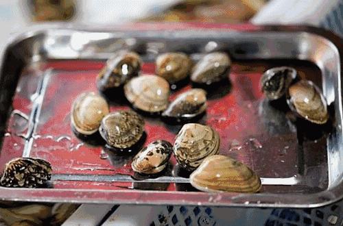 哈啤大排档团购,哈啤大排档