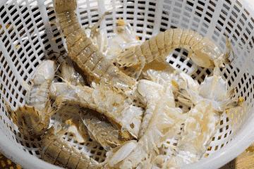 哈啤大排档团购,哈啤大排档