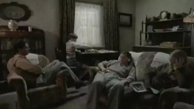 我的不靠谱家人，以及蛇、老鼠、蜥蜴、猫头鹰等其他动物