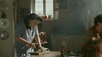 我的不靠谱家人，以及蛇、老鼠、蜥蜴、猫头鹰等其他动物