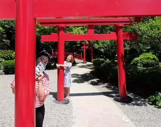 去日本北九州好吗,北九州看樱花