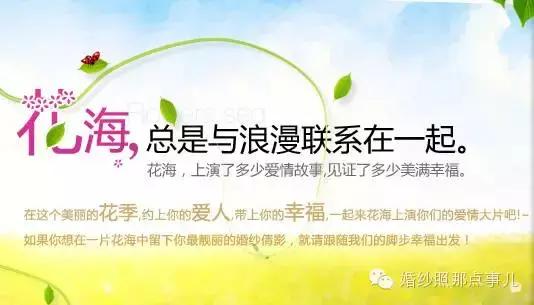 哪里的花海合适拍婚纱照,北京花海婚纱照