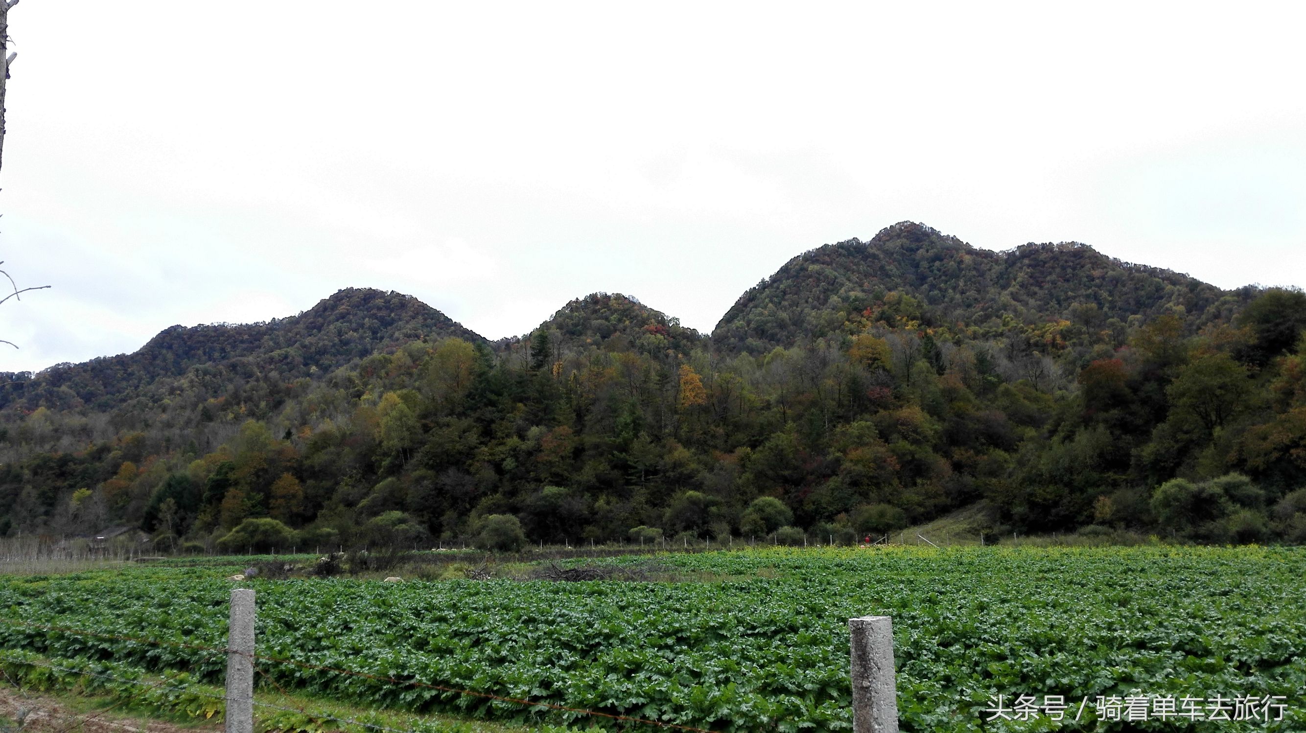 秦岭周至老县城,西安周至老县城旅游攻略