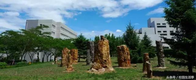 大连理工丑闻,大连理工大连海事东北财经