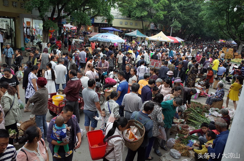 6月18日德昌端午节火爆场面将至,众多中草药先让你辨认,药膳宴等你品尝