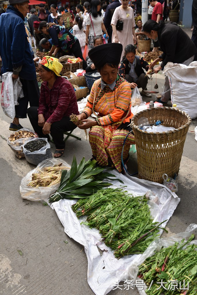 6月18日德昌端午节火爆场面将至,众多中草药先让你辨认,药膳宴等你品尝