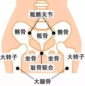 原来身体里面有个“盆儿”他到底有多重要呢?