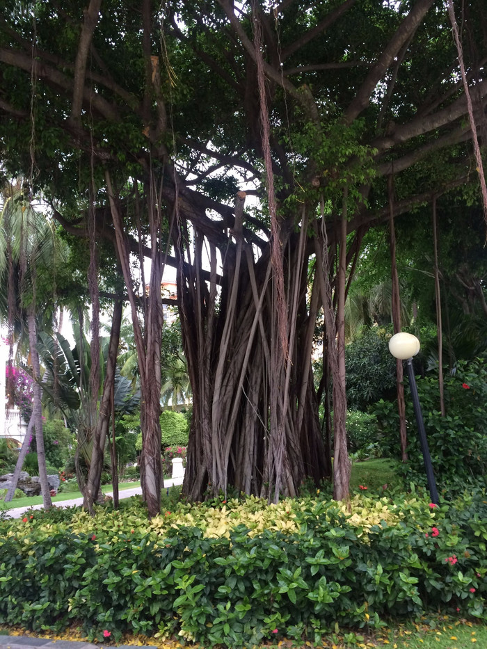 三亚婚纱旅拍地点推荐,三亚旅拍婚纱七天六夜