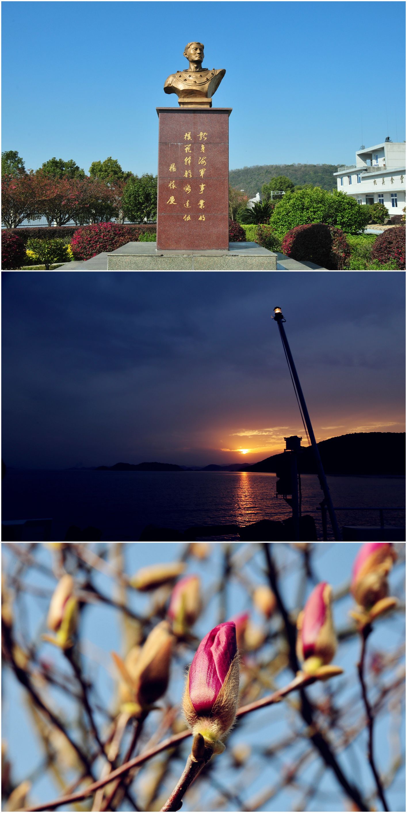 去看看，那些自带“光环”的兵咋样了