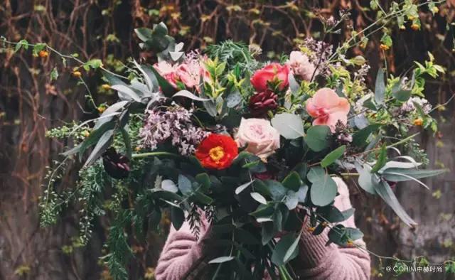 兰州的新乡愁:不远,不只是花店,是很多人的梦想