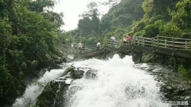 广东普罗旺斯花海,普罗旺斯的薰衣草紫色花海