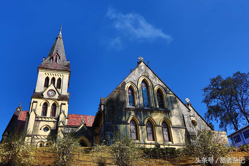 印度大吉岭红茶有几个品牌,印度大吉岭红茶品种