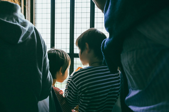 紫藤花开的季节去看锦鲤成了精，据说转发会有好运