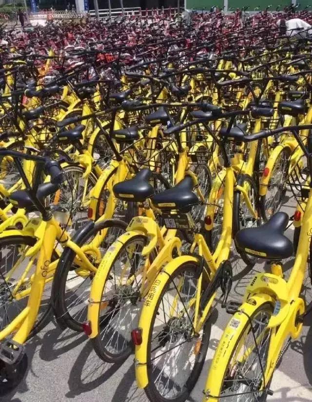 陈欧花10亿共享充电宝,陈欧的共享充电宝叫什么名字