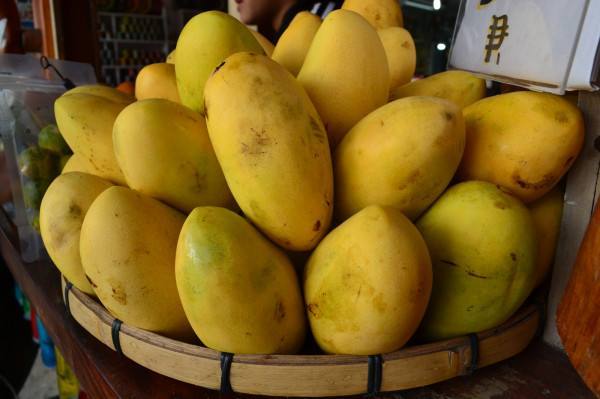 长滩岛海鲜攻略,长滩岛海边必吃的美食