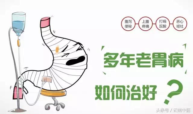 胃不好用什么泡水喝可以养胃,胃不好早上吃什么养胃又营养