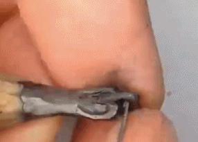 国外成年人幽默搞笑动图gif,100个绝版的搞笑gif表情包图