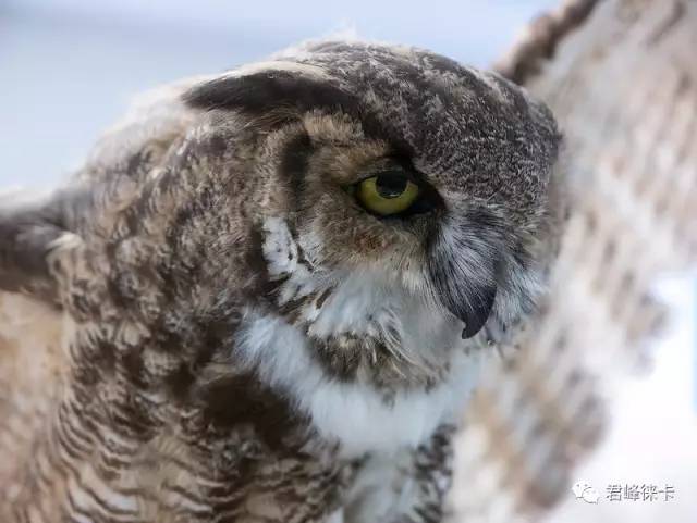 新手入门摄影买徕卡什么相机,徕卡m相机入门教程和拍照技巧