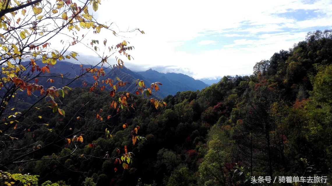 秦岭周至老县城,西安周至老县城旅游攻略