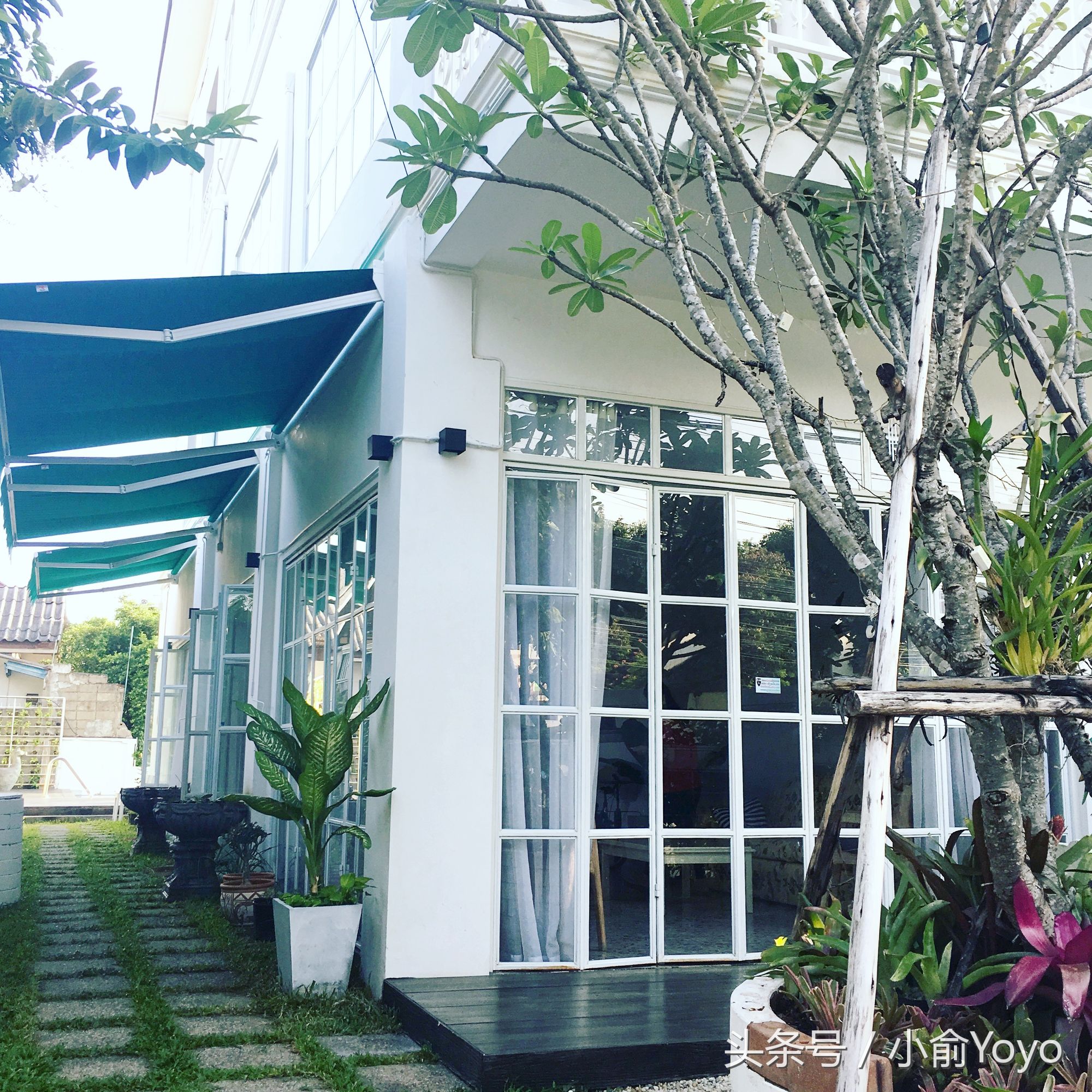 清迈为什么这么多韩国人,清迈为什么吸引人