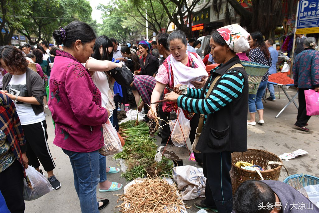 6月18日德昌端午节火爆场面将至,众多中草药先让你辨认,药膳宴等你品尝