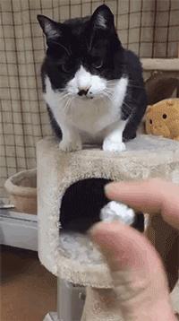 我书读得少你别骗我啊，我还从没见过打吊针打屁股上的