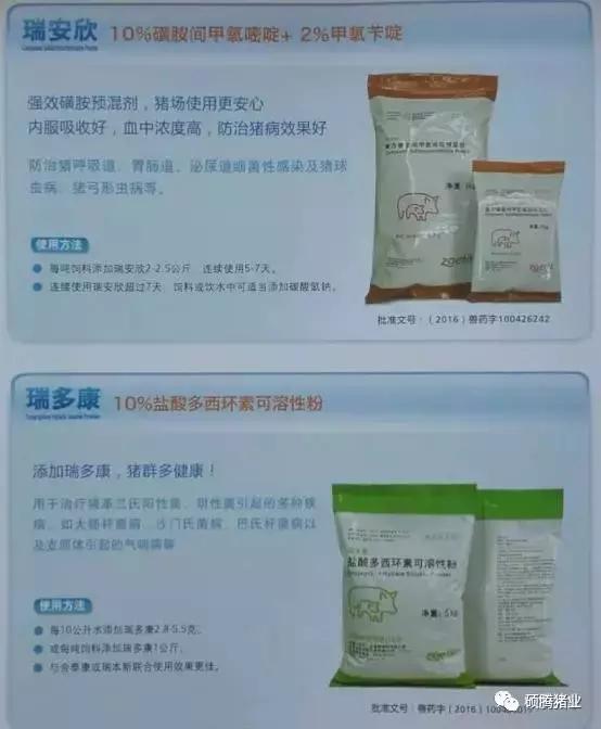 “瑞多康”+“瑞安欣”双剑合一:猪场扫除衣原体和弓形体的法宝