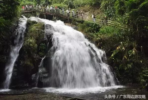 广东普罗旺斯花海,普罗旺斯的薰衣草紫色花海