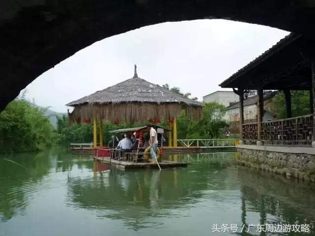 广东普罗旺斯花海,普罗旺斯的薰衣草紫色花海