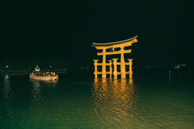 紫藤花开的季节去看锦鲤成了精，据说转发会有好运