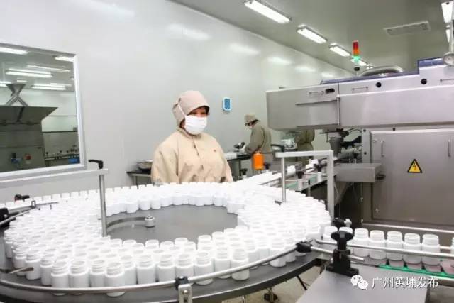 比同仁堂还长七岁！走进白云山中一展厅，探秘岭南中药“活化石”