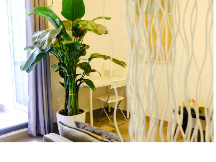 不二免佣直租：暖寓「西丽院子」