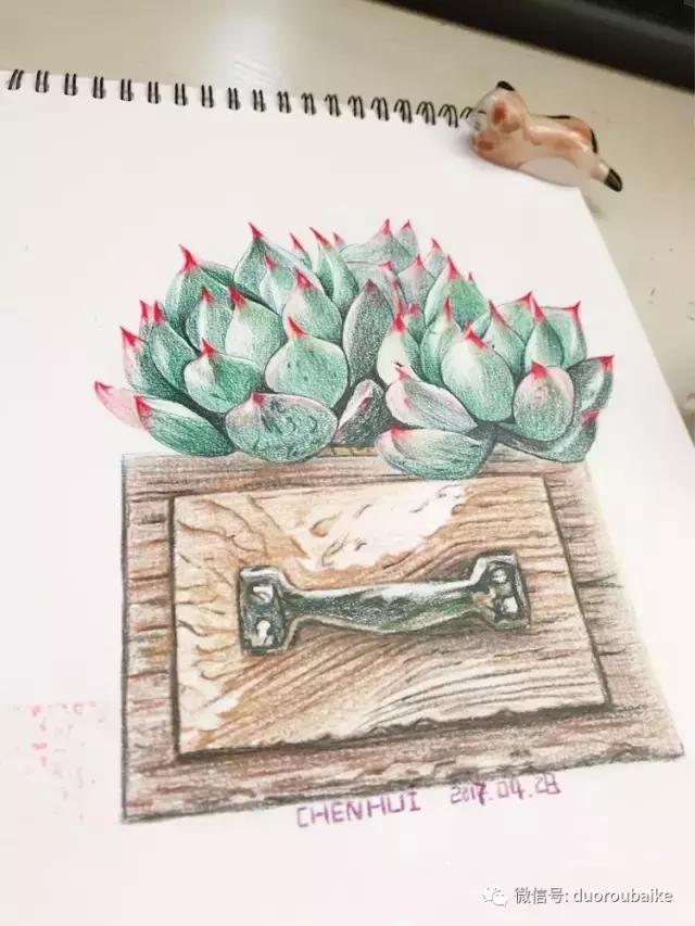 沉浸在花花草草的世界里,沉浸在动物和花海世界中