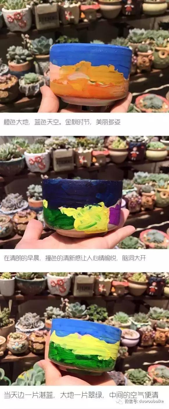 沉浸在花花草草的世界里,沉浸在动物和花海世界中