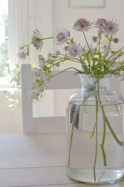 我想学插花有教程吗,学插花怎么学