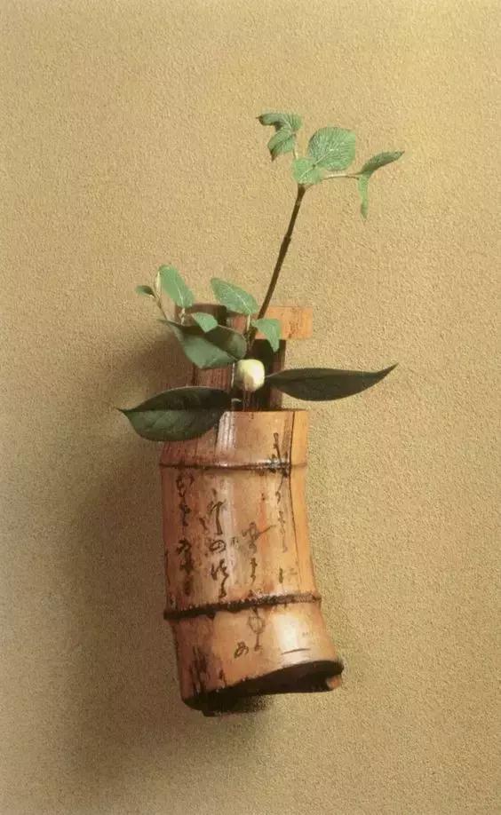 我想学插花有教程吗,学插花怎么学