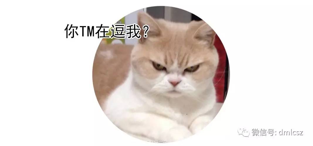 人生就像是渡劫各种心酸,你的一生已经经历了太多苦难