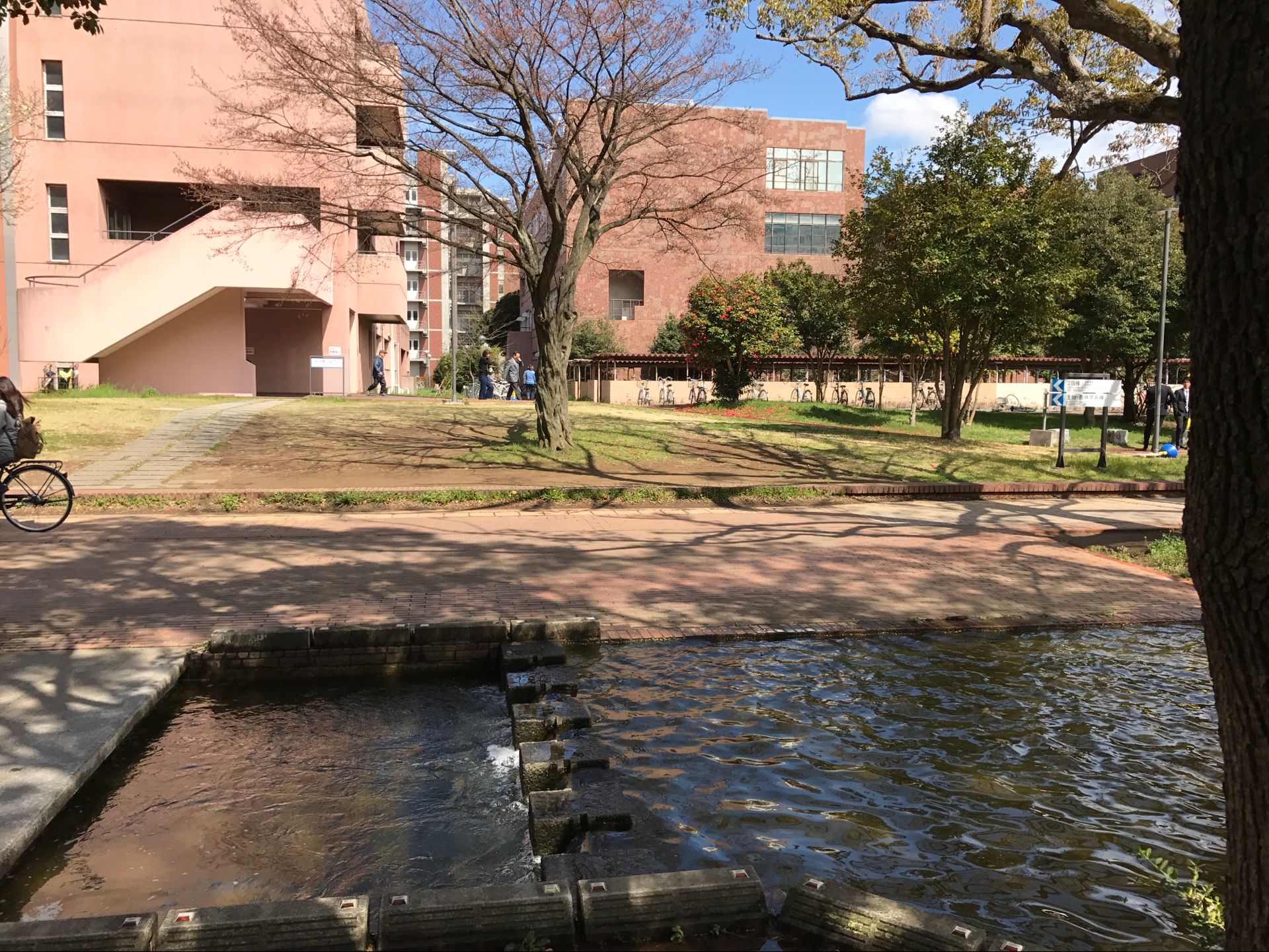 去日本筑波大学读研究生有前途吗,筑波大学怎么样