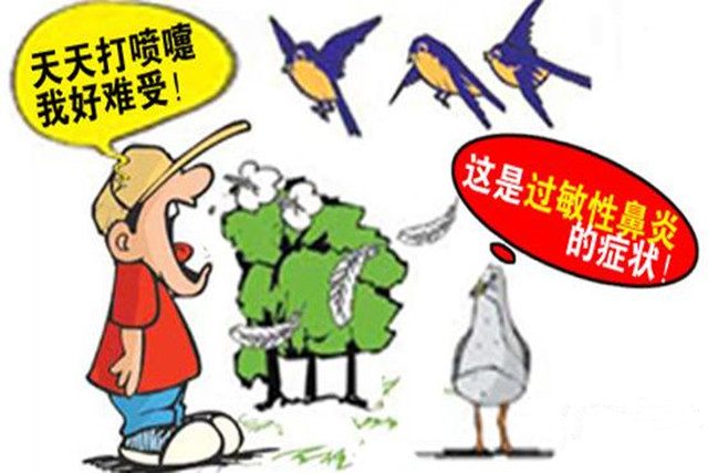 经常鼻痒打喷嚏多半是过敏性鼻炎,喝粥可治!5个小偏方收好!