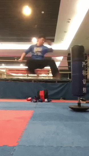 泰迪模仿主人的5种表现,泰迪真的能听懂人类的脚步声吗