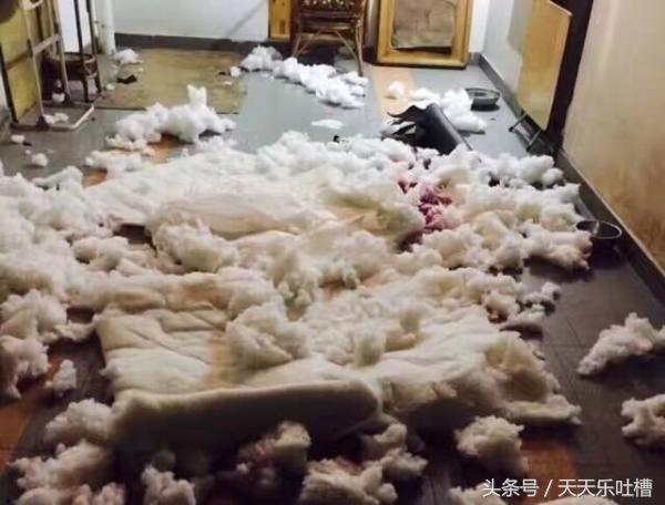 淘宝爆笑买家秀完整版,买家秀奇葩鞋子