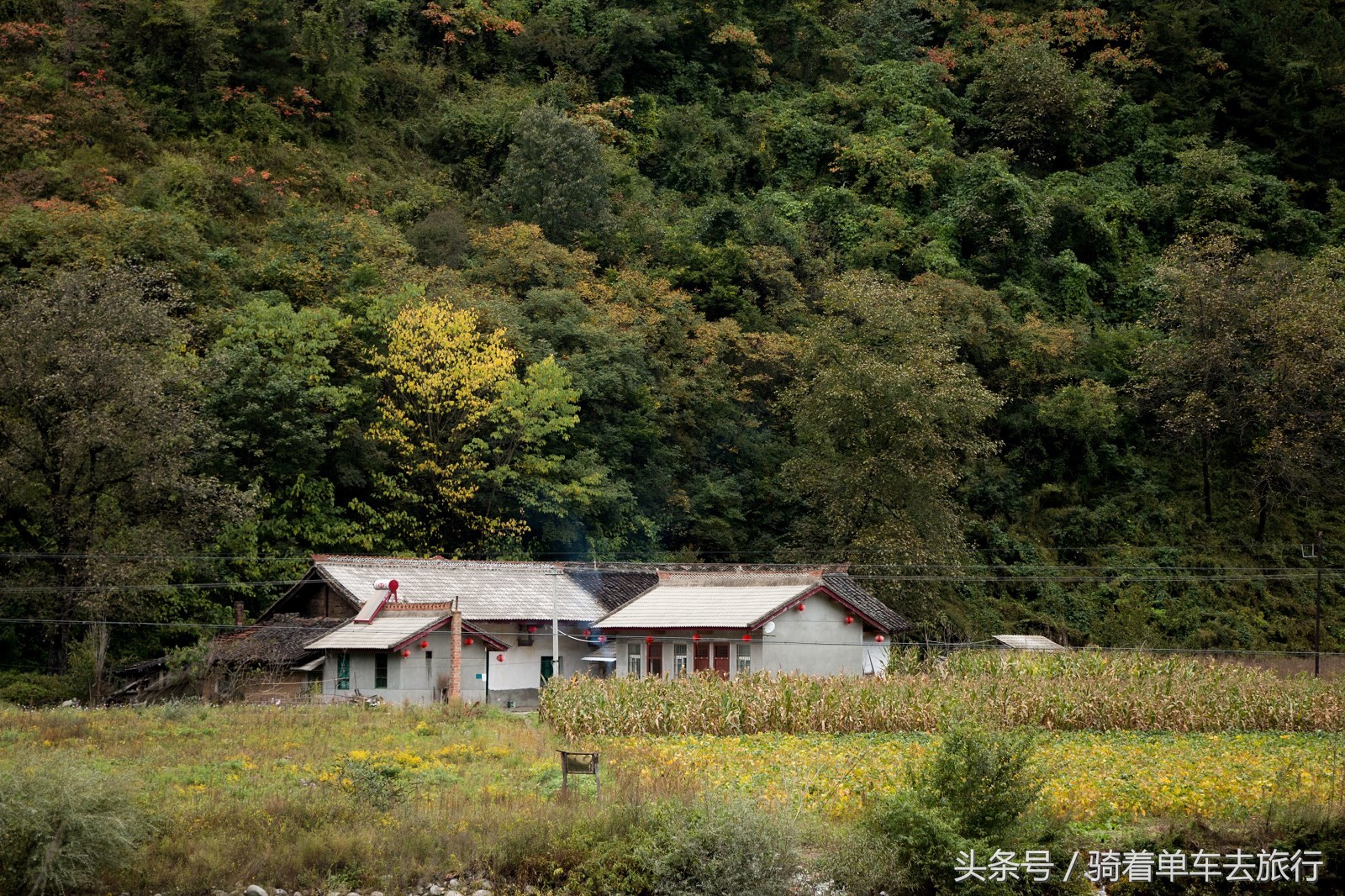 秦岭周至老县城,西安周至老县城旅游攻略